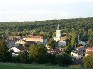 Commune de Flavigny-sur-Moselle 54630