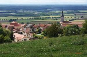 Commune de Saint-Martin-du-Mont 01160